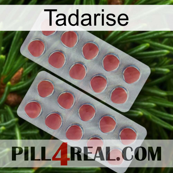 Tadarise 19.jpg